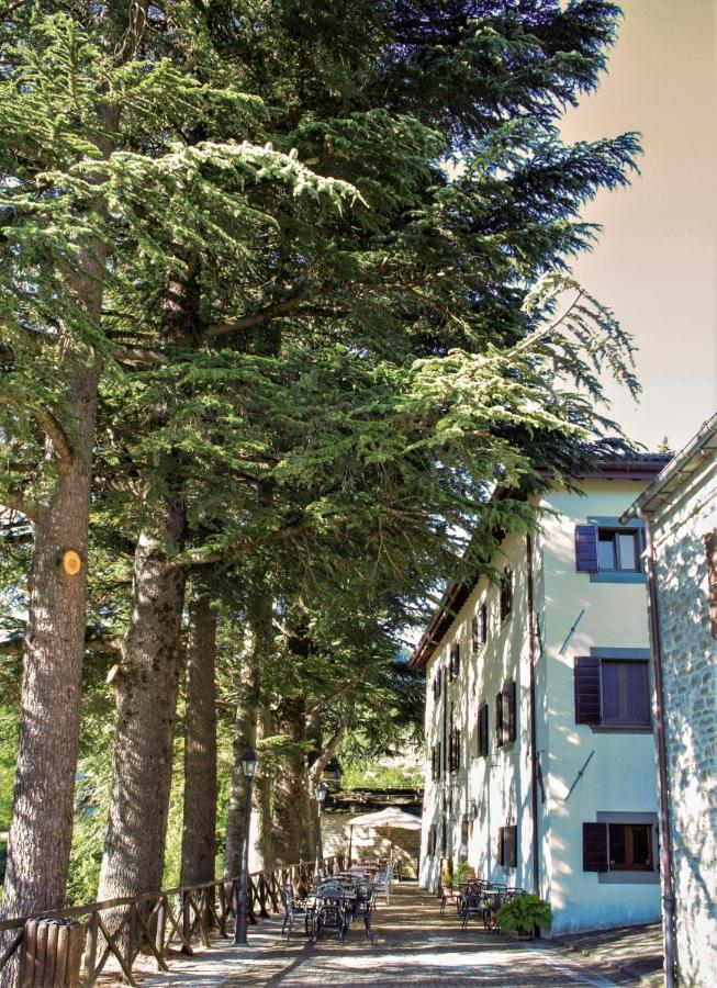 Il Palazzo Ridracoli Hotel Bagno di Romagna Eksteriør billede